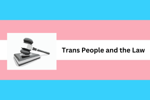 Blue white and pink flag representing the trans community with a gavel in black and white overlaid on the flag.  The words Trans People and the Law are situated in the middle section of the flag to the right.