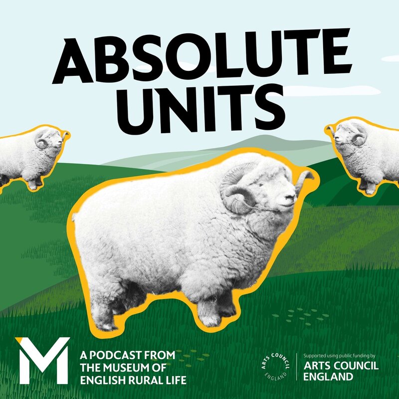 The Absolute Units podcast logo features the black and white photograph of a robust Exmoor Horn ram that became known as the 'absolute unit' through a meme. The title text reads 'Absolute Units' and text at the bottom of the image reads 'A podcast from the Museum of English Rural Life' and 'Arts Council England'.