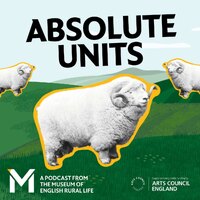 The Absolute Units podcast logo features the black and white photograph of a robust Exmoor Horn ram that became known as the 'absolute unit' through a meme. The title text reads 'Absolute Units' and text at the bottom of the image reads 'A podcast from the Museum of English Rural Life' and 'Arts Council England'.