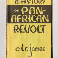 A History of Pan-African Revolt