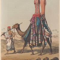 Hand-coloured lithograph of a camel conveying a bride to her husband. From: GF Lyon. A narrative of travels in northern Africa in the years 1818, 19, and 20. London: John Murray, 1821 [FCDO Historical Collection FOL. DT219 LYO] See section 8 of this online exhibition.